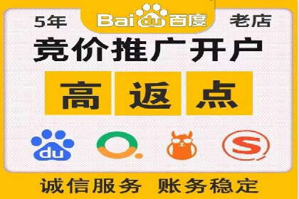 百度推广实战攻略：案例与策略